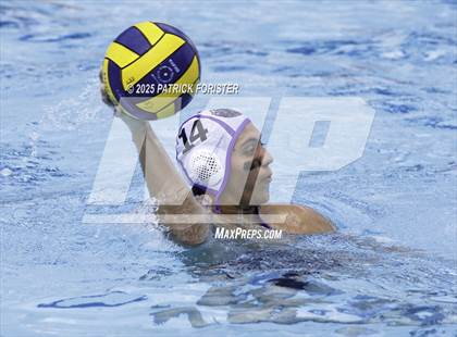 Thumbnail 1 in Warren vs. Stevens photogallery.