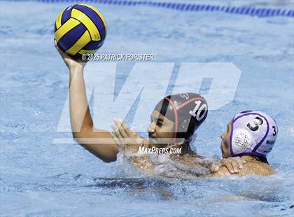 Thumbnail 3 in Warren vs. Stevens photogallery.