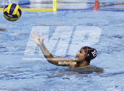 Thumbnail 3 in Warren vs. Stevens photogallery.