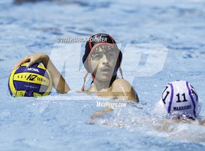 Thumbnail 1 in Warren vs. Stevens photogallery.