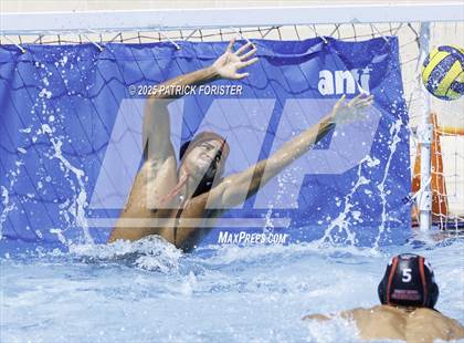 Thumbnail 1 in Warren vs. Stevens photogallery.