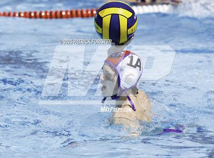 Thumbnail 3 in Warren vs. Stevens photogallery.