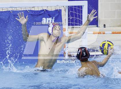 Thumbnail 2 in Warren vs. Stevens photogallery.
