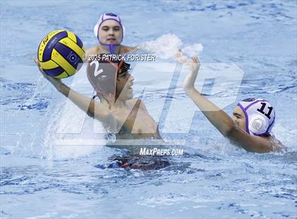 Thumbnail 2 in Warren vs. Stevens photogallery.