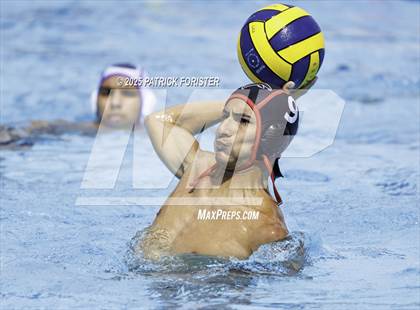 Thumbnail 1 in Warren vs. Stevens photogallery.