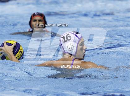 Thumbnail 3 in Warren vs. Stevens photogallery.