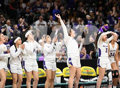 Thumbnail 2 in D'Evelyn vs. Holy Family (CHSAA 4A Final) photogallery.
