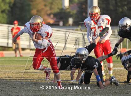 Thumbnail 1 in Centennial @ Stockdale photogallery.