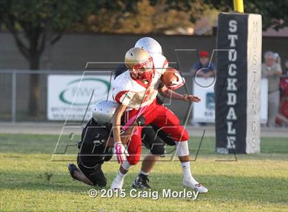 Thumbnail 1 in Centennial @ Stockdale photogallery.