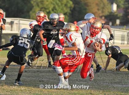 Thumbnail 3 in Centennial @ Stockdale photogallery.