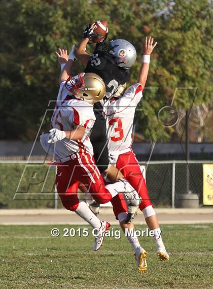 Thumbnail 3 in Centennial @ Stockdale photogallery.
