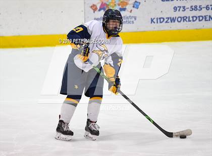 Thumbnail 2 in Sparta/Jefferson @ Vernon (Halvorsen Cup Semifinal) photogallery.