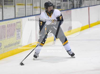Thumbnail 1 in Sparta/Jefferson @ Vernon (Halvorsen Cup Semifinal) photogallery.