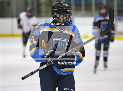 Thumbnail 2 in Sparta/Jefferson @ Vernon (Halvorsen Cup Semifinal) photogallery.