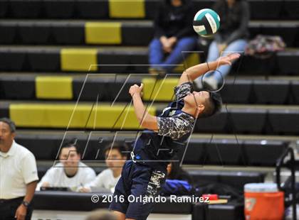 Thumbnail 2 in Mater Dei Catholic @ Olympian photogallery.