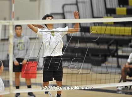 Thumbnail 2 in Mater Dei Catholic @ Olympian photogallery.