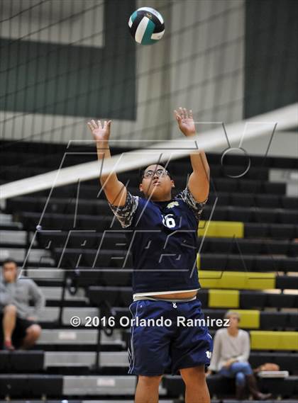 Thumbnail 2 in Mater Dei Catholic @ Olympian photogallery.