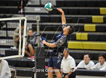 Thumbnail 1 in Mater Dei Catholic @ Olympian photogallery.