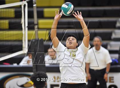 Thumbnail 1 in Mater Dei Catholic @ Olympian photogallery.