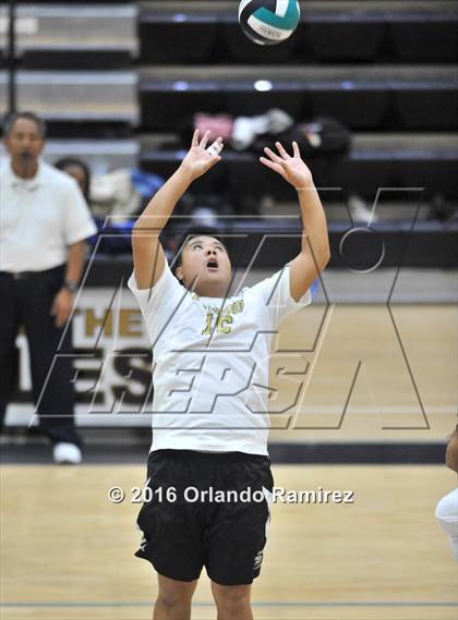 Thumbnail 1 in Mater Dei Catholic @ Olympian photogallery.