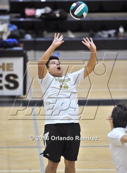 Thumbnail 2 in Mater Dei Catholic @ Olympian photogallery.