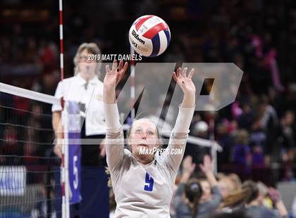 Thumbnail 2 in Chaparral vs. Grandview (CHSAA 5A Playoff) photogallery.