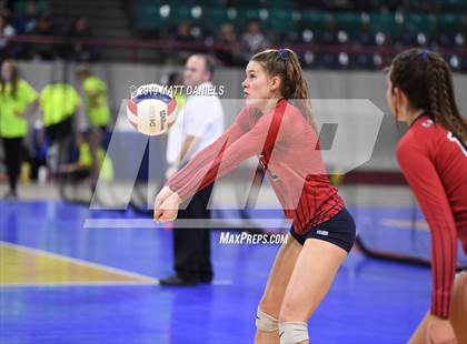Thumbnail 3 in Chaparral vs. Grandview (CHSAA 5A Playoff) photogallery.