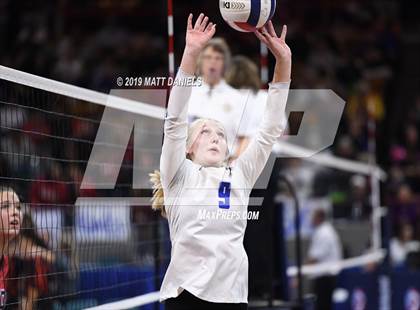 Thumbnail 1 in Chaparral vs. Grandview (CHSAA 5A Playoff) photogallery.