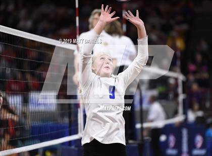 Thumbnail 3 in Chaparral vs. Grandview (CHSAA 5A Playoff) photogallery.