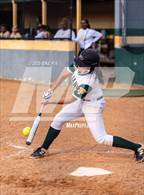 Photo from the gallery "E.E. Smith @ Pine Forest"