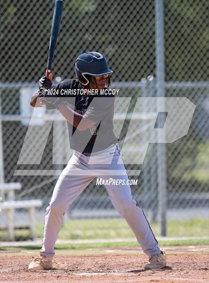Thumbnail 1 in Venice vs. Lakewood Ranch photogallery.