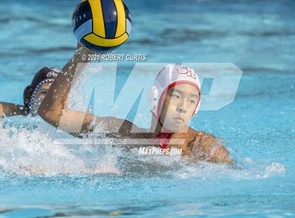 Thumbnail 3 in Burroughs @ Crespi photogallery.