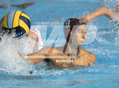 Thumbnail 2 in Burroughs @ Crespi photogallery.