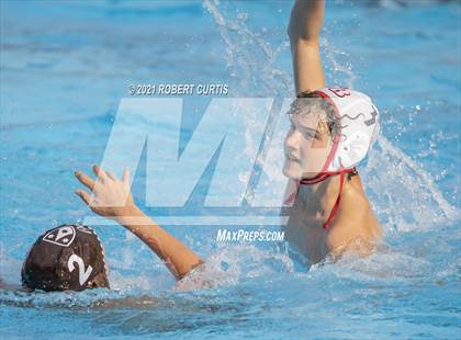 Thumbnail 3 in Burroughs @ Crespi photogallery.