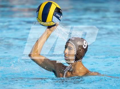 Thumbnail 2 in Burroughs @ Crespi photogallery.