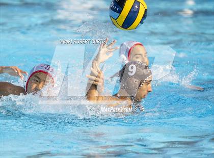Thumbnail 2 in Burroughs @ Crespi photogallery.