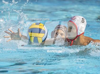 Thumbnail 3 in Burroughs @ Crespi photogallery.