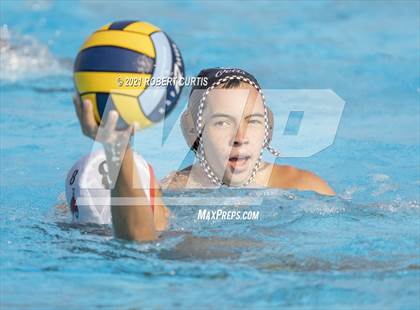 Thumbnail 3 in Burroughs @ Crespi photogallery.