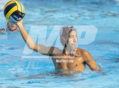 Thumbnail 3 in Burroughs @ Crespi photogallery.