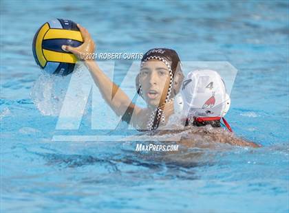Thumbnail 1 in Burroughs @ Crespi photogallery.