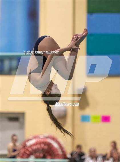 Thumbnail 3 in CHSAA 5A Girls Diving - State Championship photogallery.