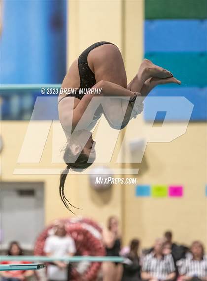 Thumbnail 3 in CHSAA 5A Girls Diving - State Championship photogallery.