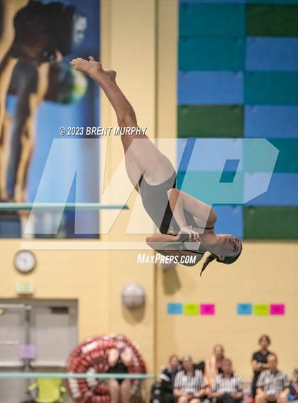 Thumbnail 1 in CHSAA 5A Girls Diving - State Championship photogallery.