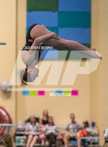 Thumbnail 3 in CHSAA 5A Girls Diving - State Championship photogallery.