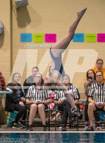 Thumbnail 1 in CHSAA 5A Girls Diving - State Championship photogallery.