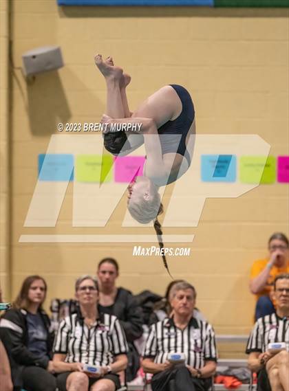 Thumbnail 3 in CHSAA 5A Girls Diving - State Championship photogallery.