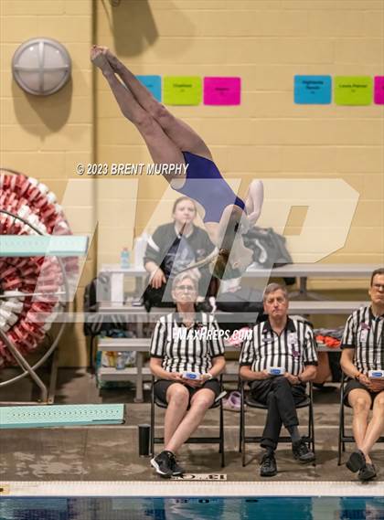 Thumbnail 1 in CHSAA 5A Girls Diving - State Championship photogallery.