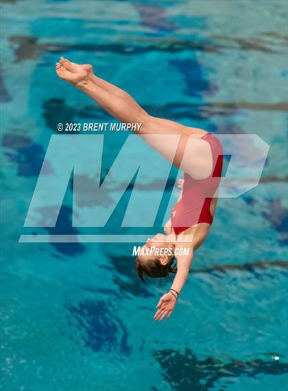 Thumbnail 1 in CHSAA 5A Girls Diving - State Championship photogallery.