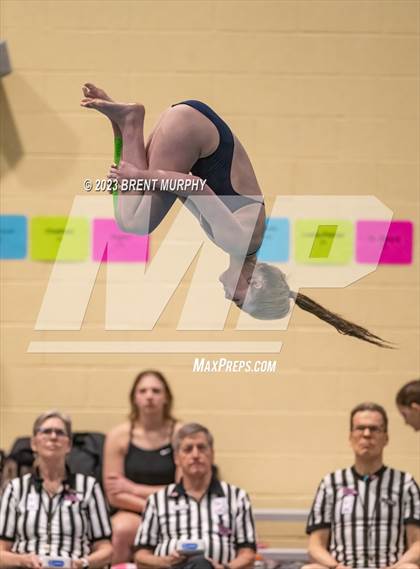 Thumbnail 1 in CHSAA 5A Girls Diving - State Championship photogallery.