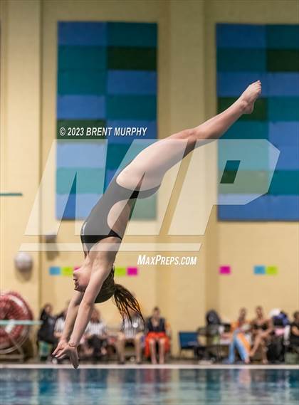 Thumbnail 3 in CHSAA 5A Girls Diving - State Championship photogallery.